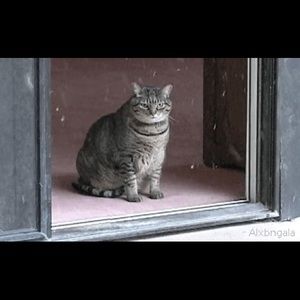 Meet your Posher, Meredith